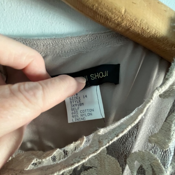 Tadashi Shoji Lace Overlay Dress in Sand, 14 - Picture 6 of 11